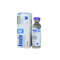 Ansulin N 100 SC Injection